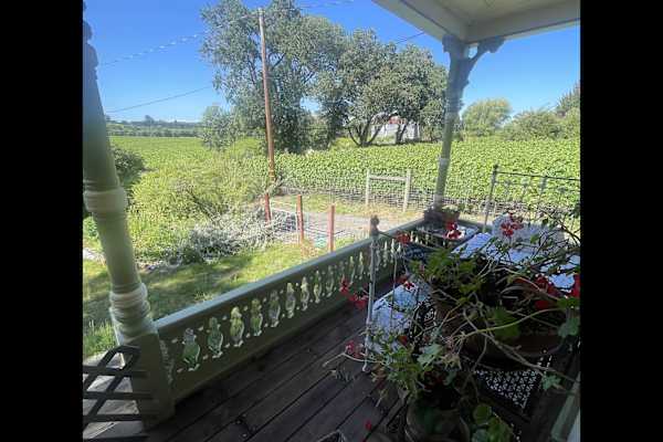 House sit in Sebastopol, CA, US