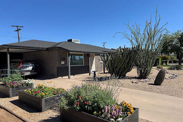 House sit in Tempe, AZ, US