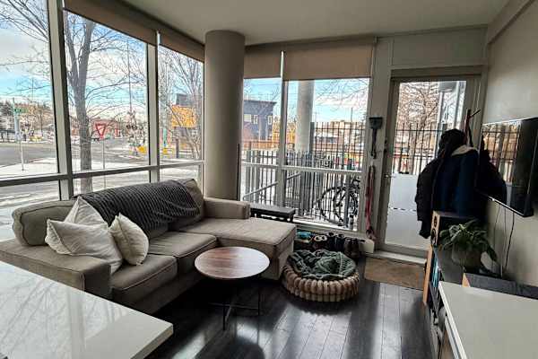 House sit in Calgary, AB, Canada