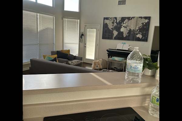 House sit in New Braunfels, TX, US