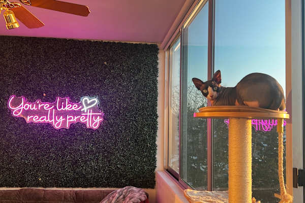 House sit in Salt Lake City, UT, US