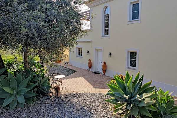 House sit in Tavira, Portugal