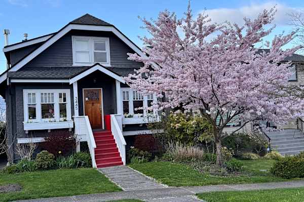 House sit in Vancouver, BC, Canada