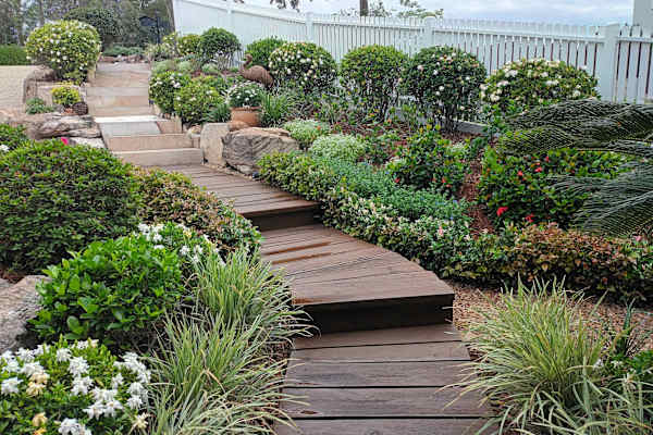 House sit in Brisbane, QLD, Australia