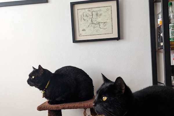 House sit in Bicester, United Kingdom