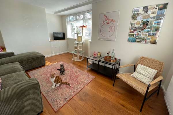 House sit in Brighton, United Kingdom
