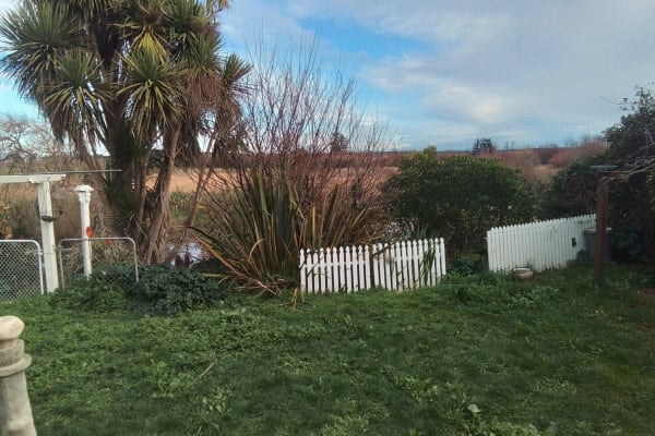 House sit in Foxton, New Zealand