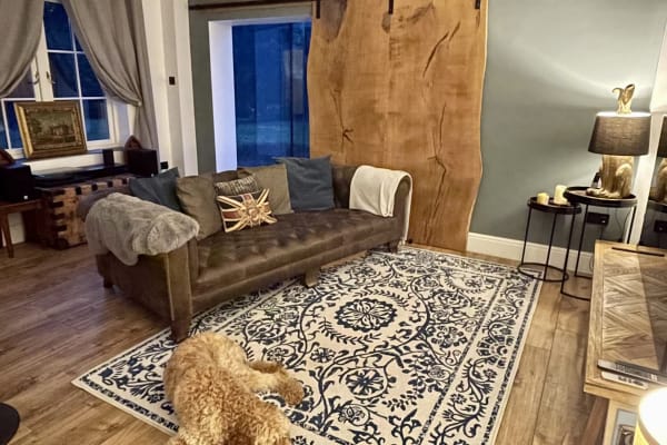 House sit in Hartlebury, United Kingdom