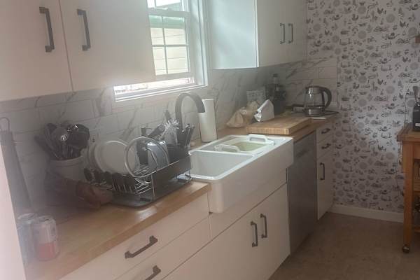 House sit in San Mateo, CA, US
