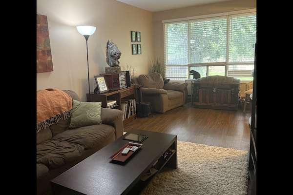 House sit in Stratford, ON, Canada