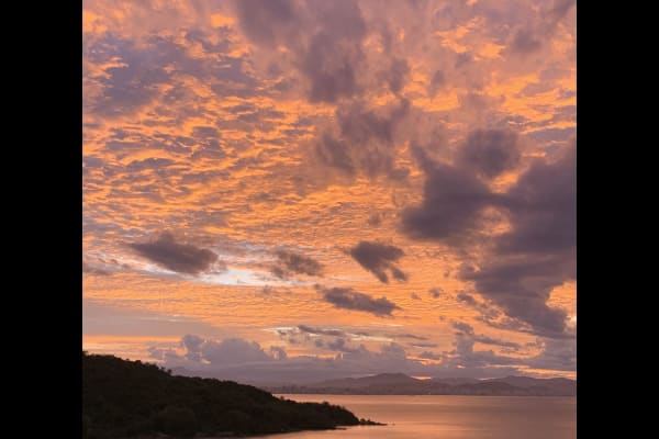 House sit in Florianópolis, Brazil