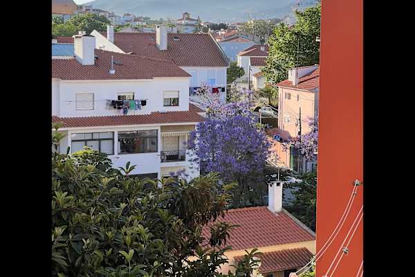 House sit in Cascais, Portugal