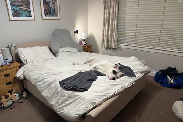 House sit in Edinburgh, United Kingdom