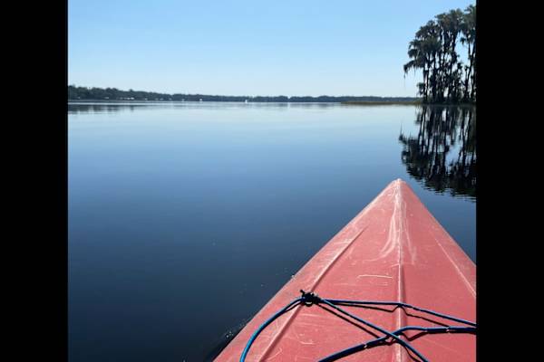 House sit in Waldo, FL, US