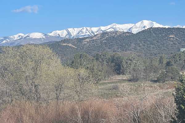 House sit in Durango, CO, US