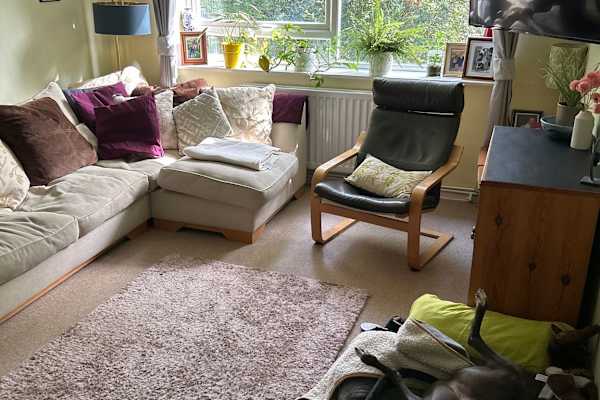 House sit in Horsham, United Kingdom