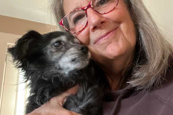 House sit in Petaluma, CA, US