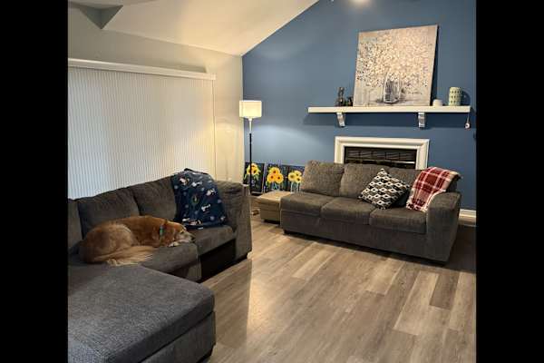 House sit in Newark, DE, US