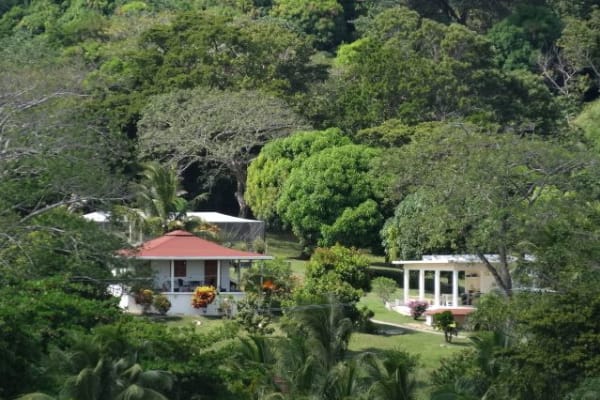 House sit in Guanaja, Honduras