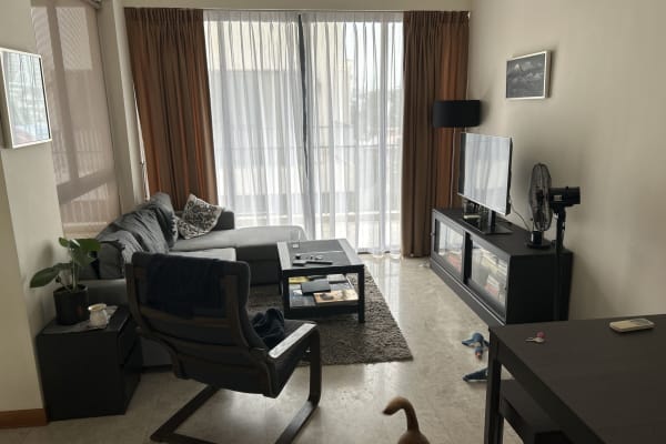 House sit in Singapore, Singapore