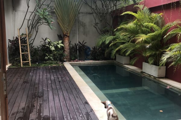 House sit in Canggu, Indonesia