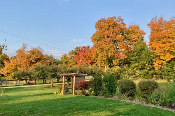 House sit in Stouffville, ON, Canada