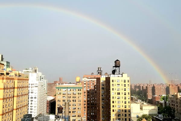 House sit in Manhattan, NY, US