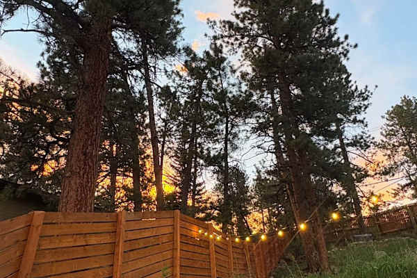 House sit in Evergreen, CO, US