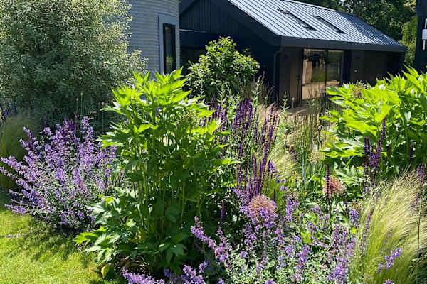 House sit in Haywards Heath, United Kingdom