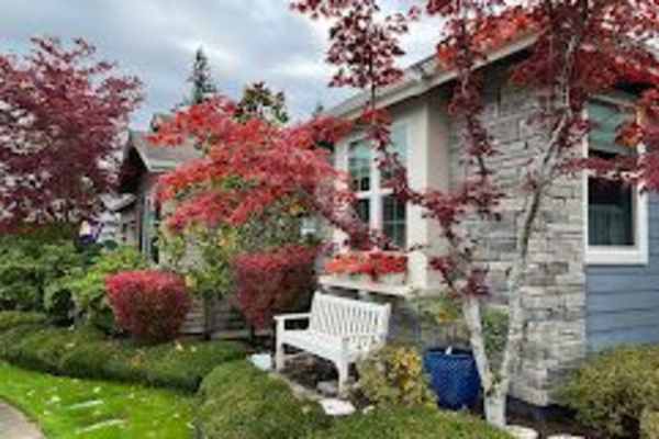 House sit in Redmond, WA, US