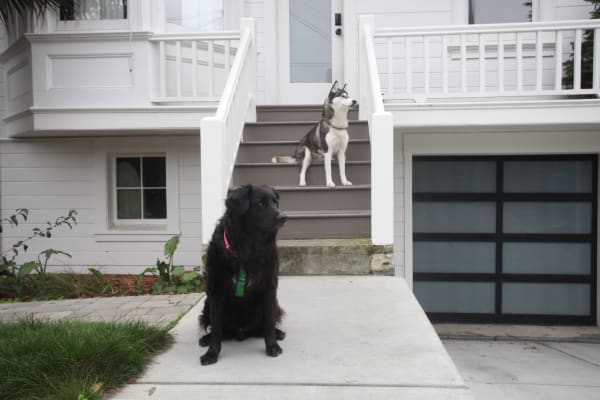 House sit in San Francisco, CA, US