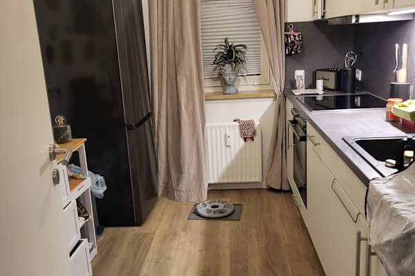 House sit in Hamburg, Germany