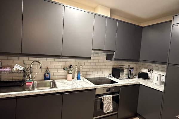 House sit in Naas, Ireland