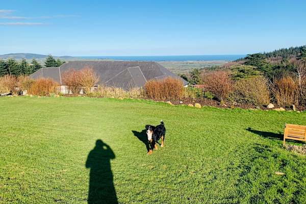 House sit in Barranisky Cross Roads, Ireland
