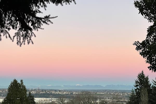 House sit in West Seattle, WA, US