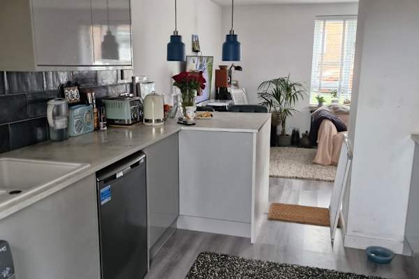 House sit in Welwyn, United Kingdom