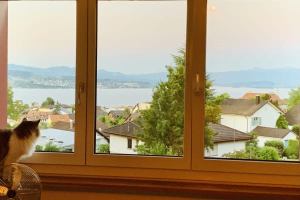 House sit in Wädenswil, Switzerland