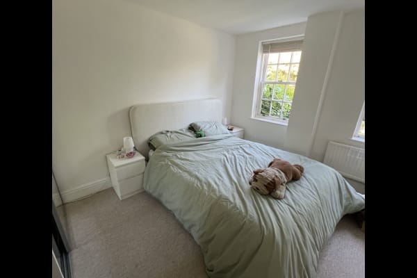 House sit in Bedford, United Kingdom