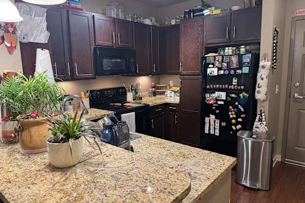 House sit in Papillion, NE, US