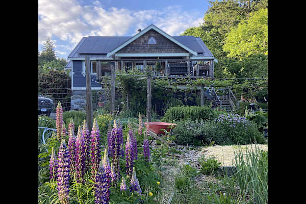 House sit in Central Saanich, BC, Canada