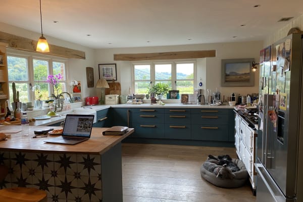 House sit in Petersfield, United Kingdom