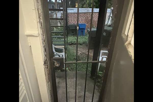 House sit in Washington, D.C., Washington, D.C., US