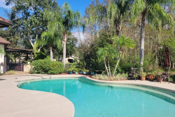 House sit in Tampa, FL, US