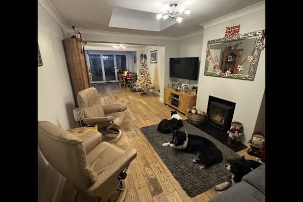 House sit in Waterlooville, United Kingdom