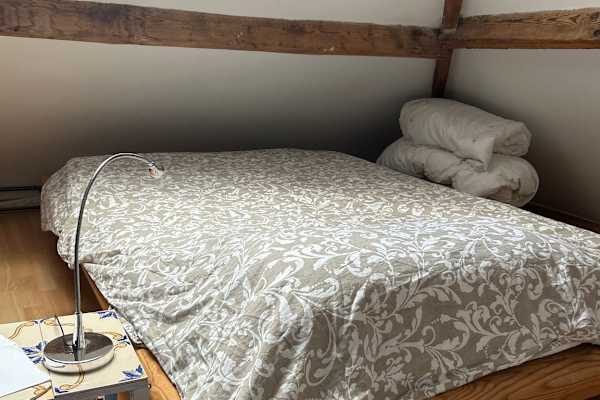 House sit in Brussels, Belgium