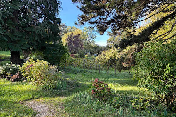 House sit in Genève, Switzerland