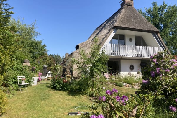 House sit in Jesteburg, Germany