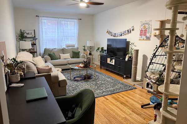 House sit in Borough of Queens, NY, US