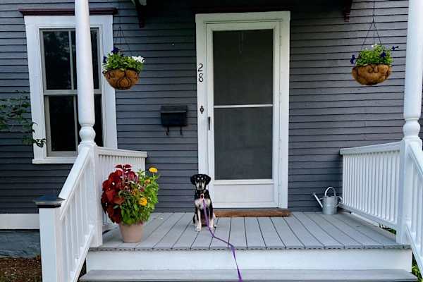 House sit in Essex Junction, VT, US