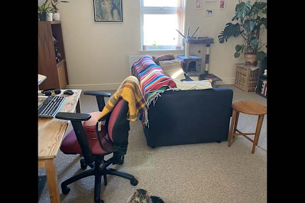 House sit in Croydon, United Kingdom